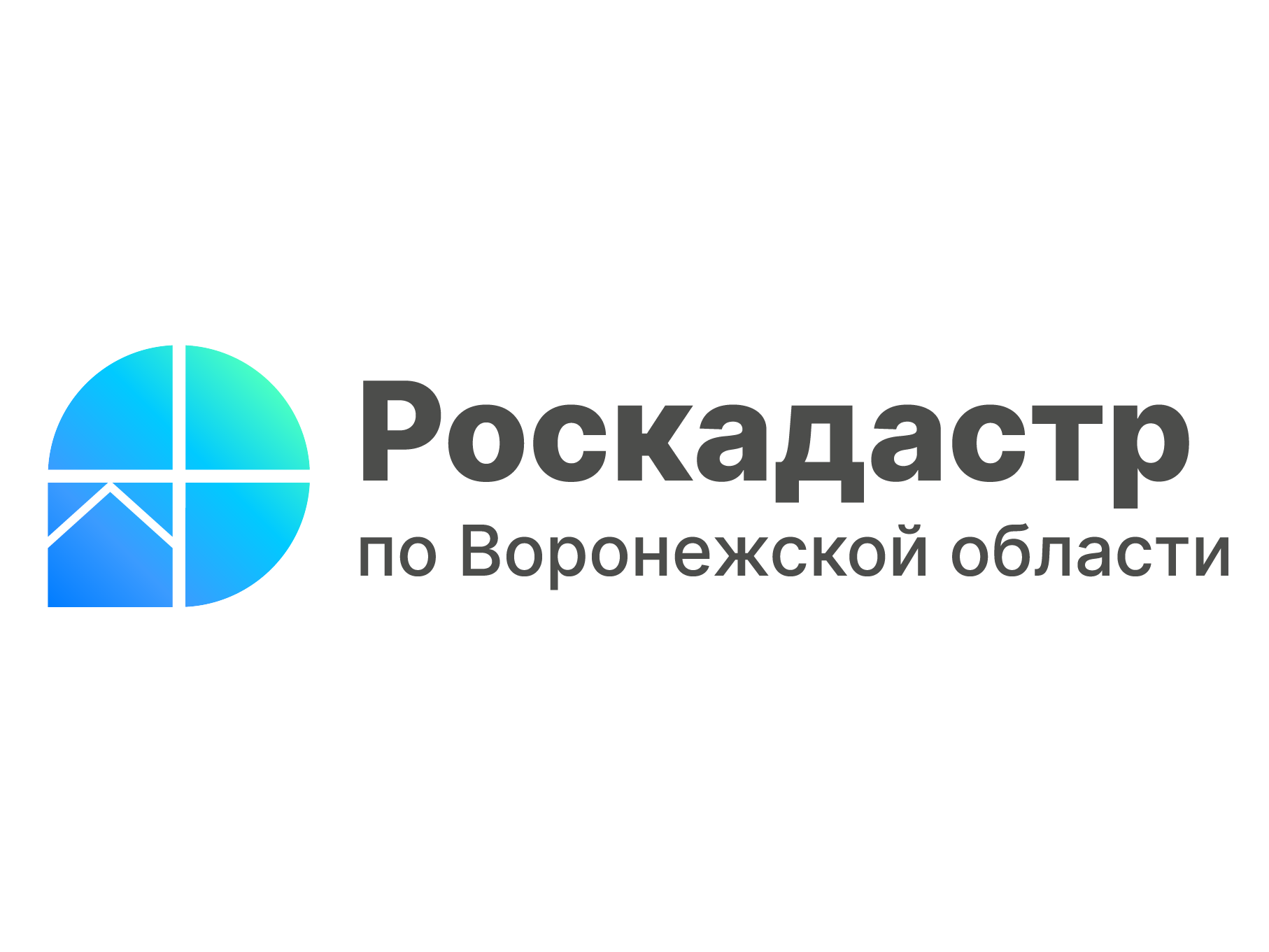 Воронежцы узнают о способах получения землеустроительной документации.