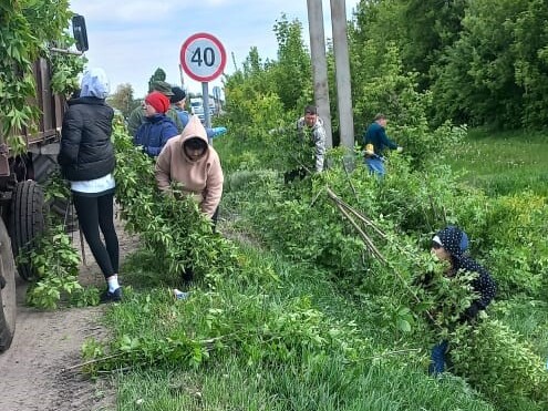 В городском поселении продолжается работа по благоустройству.